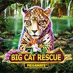 Big Cat Rescue Megaways