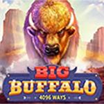 Big Buffalo